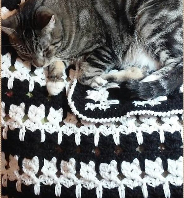 How to Crochet Cat Stitch - Handmade Learning Here