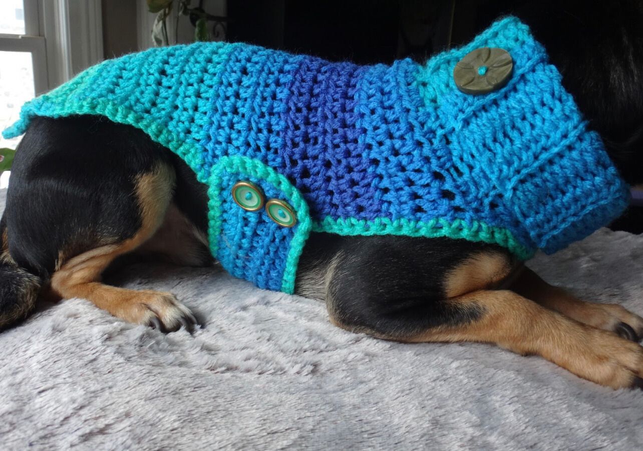 Crochet dog sweater - Handmade Learning Here